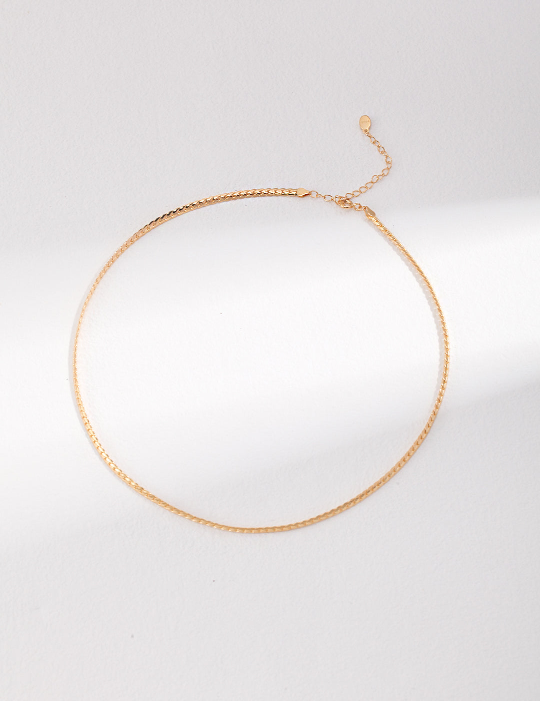 Classic Silver Necklace
